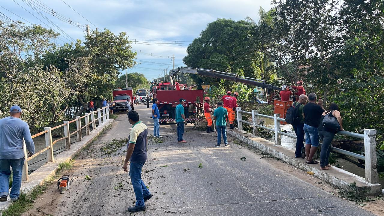 FOTOS: Ponte de Pium é interditada para serviços de desobstrução e retirada de árvore