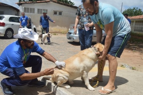 Natal terá vacinação antirrábica neste sábado (23) em Mãe Luiza e Pitimbu