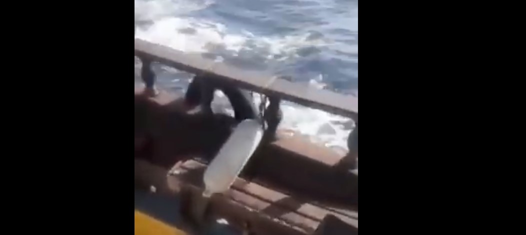 VÍDEO: Moby Dick? Pescadores entram em pânico após serem perseguidos por baleia jubarte