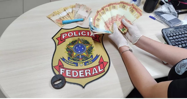 PF apreende R$ 2.710 em cédulas falsas e prende homem que mantinha estufa de maconha em casa em Natal