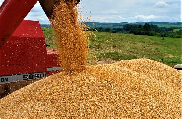 IBGE estima safra recorde de 263,4 milhões de toneladas em 2022