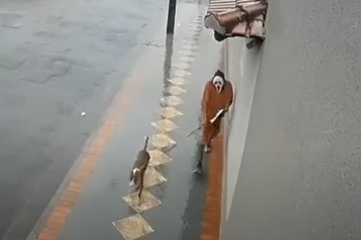 VÍDEO: Com máscara do Pânico, homem anda com pitbull e faca aterrorizando pessoas