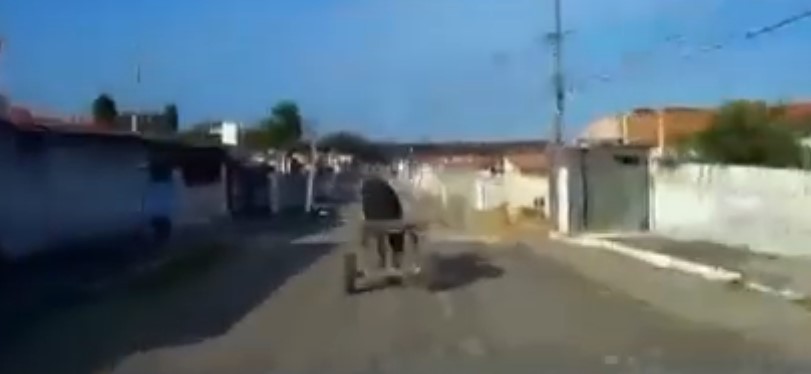 VÍDEO: No RN, homem usa carroça para fugir da PM após bater na mulher