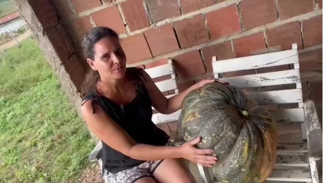 Agricultora colhe jerimum 'gigante' de 35 quilos