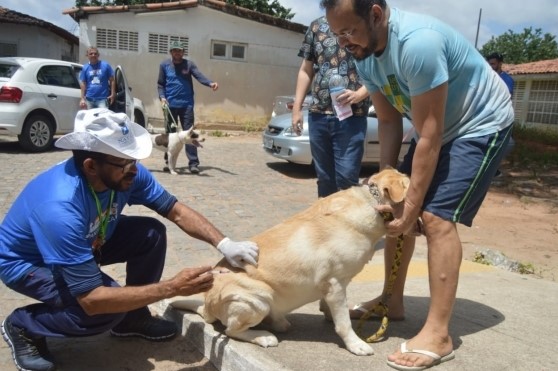Natal terá quatro pontos de vacinação antirrábica neste sábado (27)