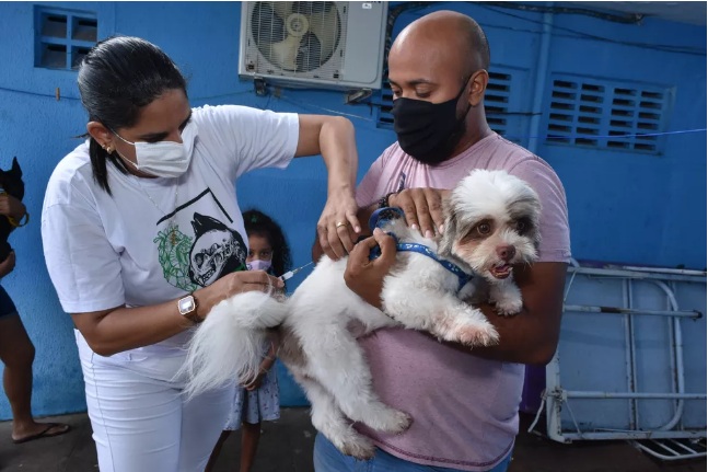 Natal oferece quatro pontos de vacinação antirrábica neste sábado