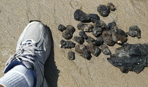 Óleo encontrado em praias do Nordeste desde agosto teria sido lançado no mar após lavagem de tanques de petroleiro