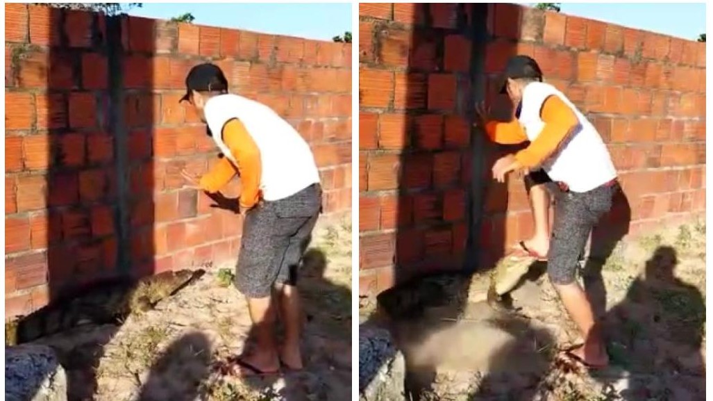 VÍDEO: Homem é mordido por jacaré ao tentar capturá-lo no Ceará