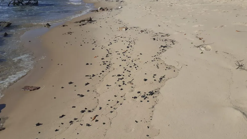 Quase 1 tonelada de óleo é recolhida de praias após reaparecimentos dos resíduos no RN
