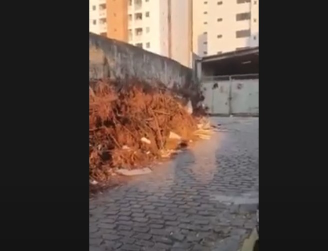 VÍDEO: Entulho, galhos de árvores e muito lixo são flagrados ao redor do Hospital Walfredo Gurgel