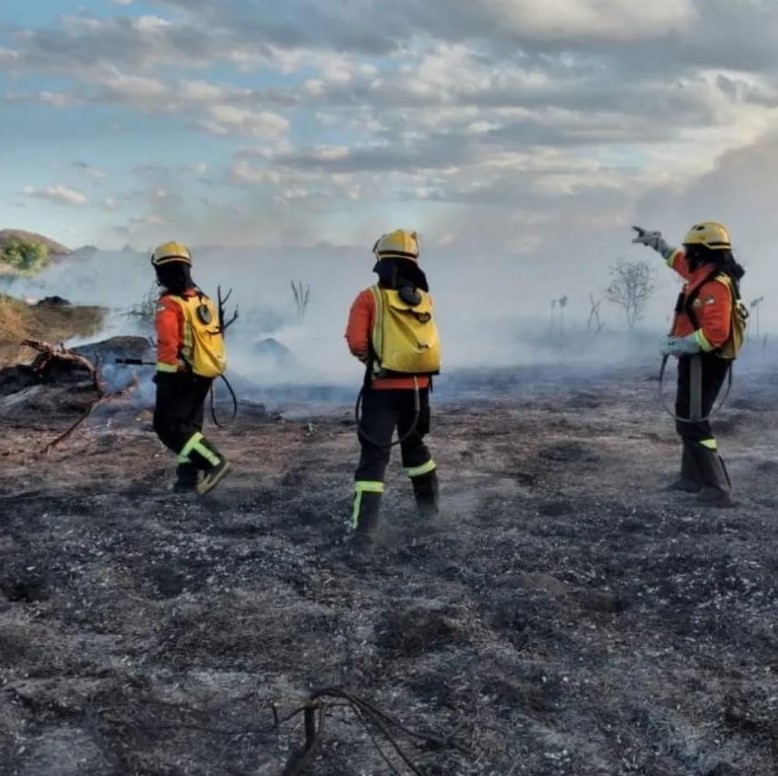 Corpo de Bombeiros Militar e Defesa Civil do RN alertam sobre incêndios florestais