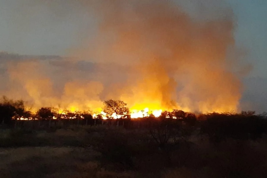 Bombeiros tentam controlar incêndio florestal no RN