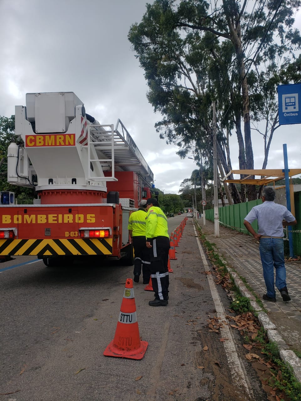 Avenida movimentada de Natal é parcialmente interditada para retirada de árvores