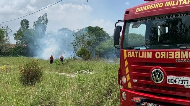 Família solta fogos de artifício em enterro e gera incêndio em cemitério