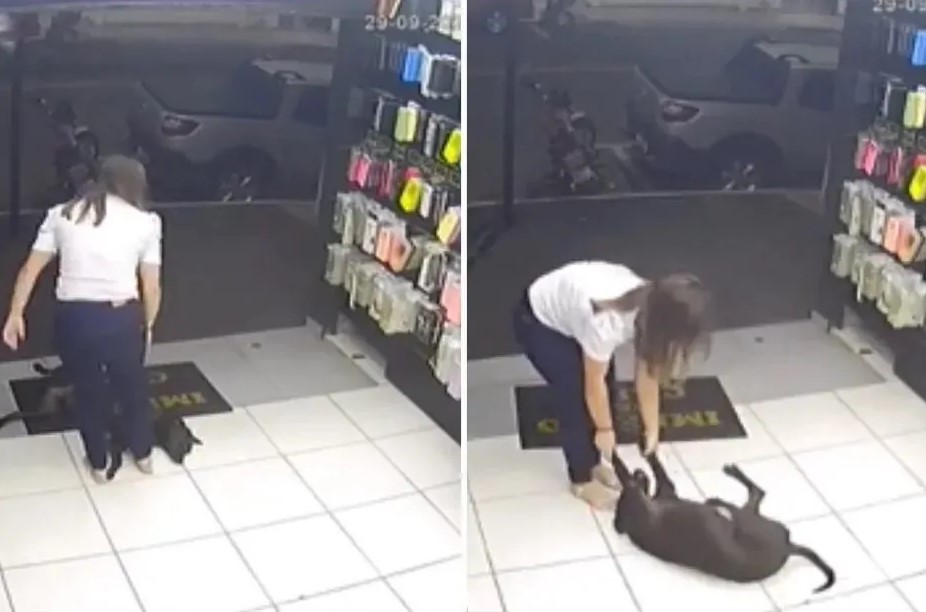 VÍDEO: Cachorro atrapalha vendedoras a fecharem loja e viraliza na web