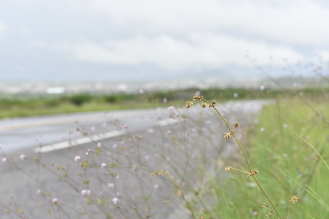 Fim de semana será de pancadas de chuva no litoral potiguar