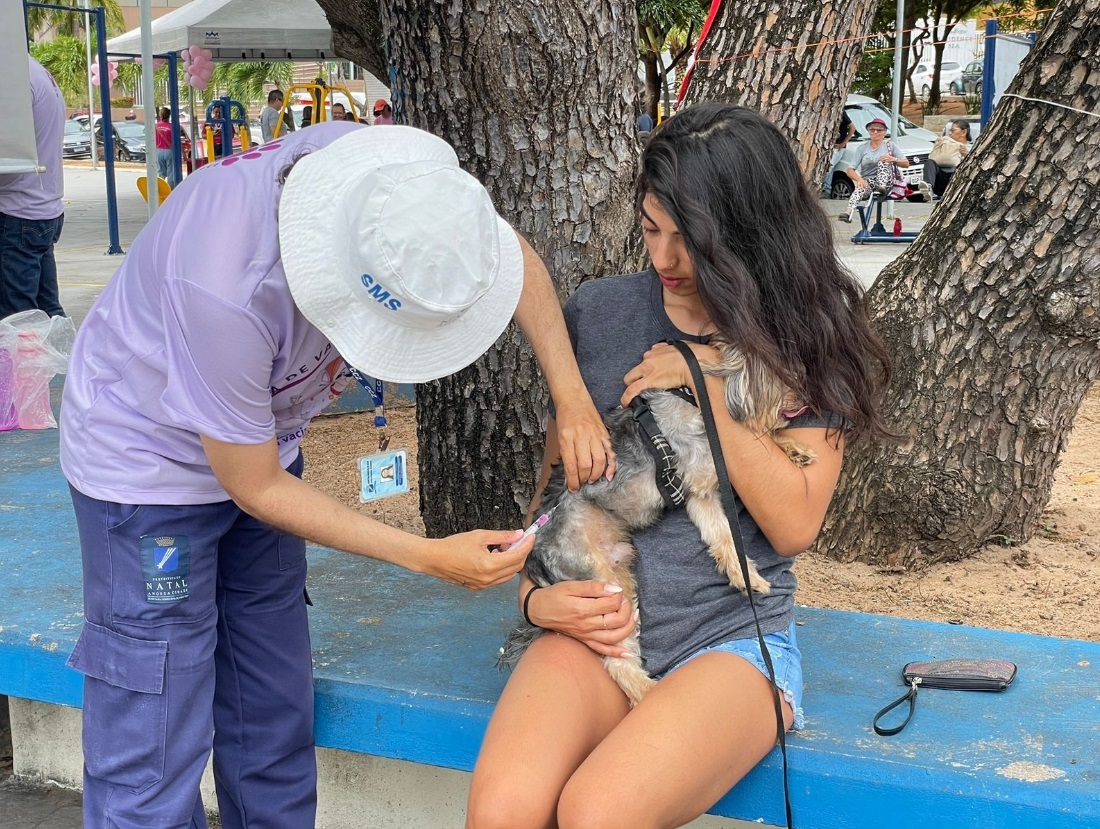 Natal realiza vacinação antirrábica casa a casa neste sábado (22)