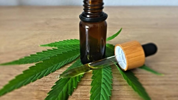 Conselho de Medicina suspende resolução sobre prescrição da Cannabis medicinal