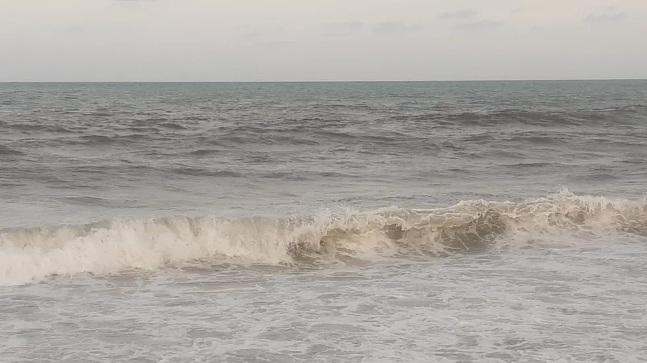 Manchas escuras aparecem em praias da Grande Natal