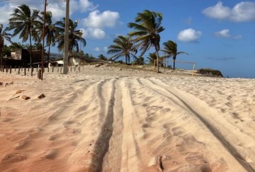 MPF cobra rigor para que veículos não transitem na beira-mar das praias de Tibau do Sul