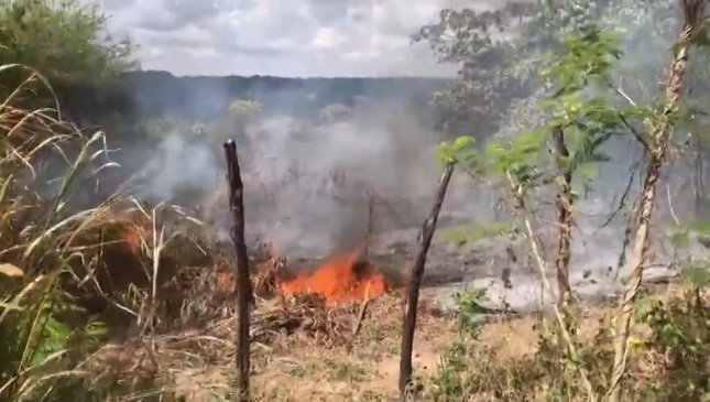 VÍDEO: Incêndio atinge área de mata em Natal