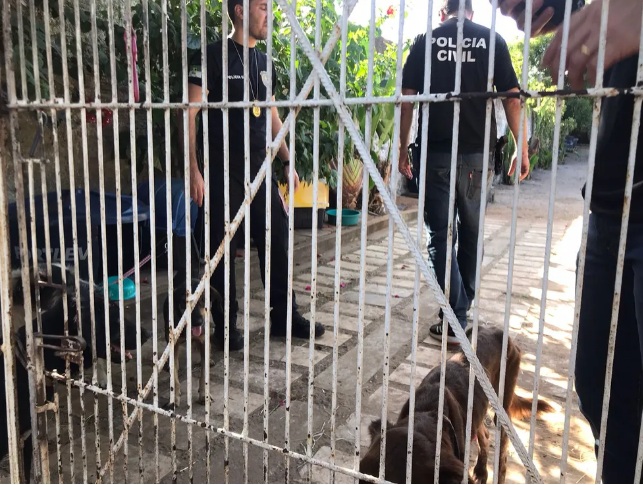 Polícia Civil interdita abrigo de animais suspeito de maus-tratos na Grande Natal