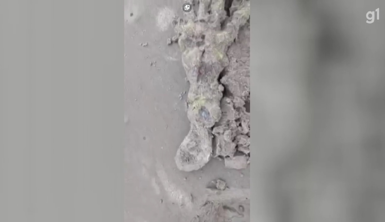 VÍDEO: Esqueleto de 'mão gigante' é encontrado em praia no litoral de SP