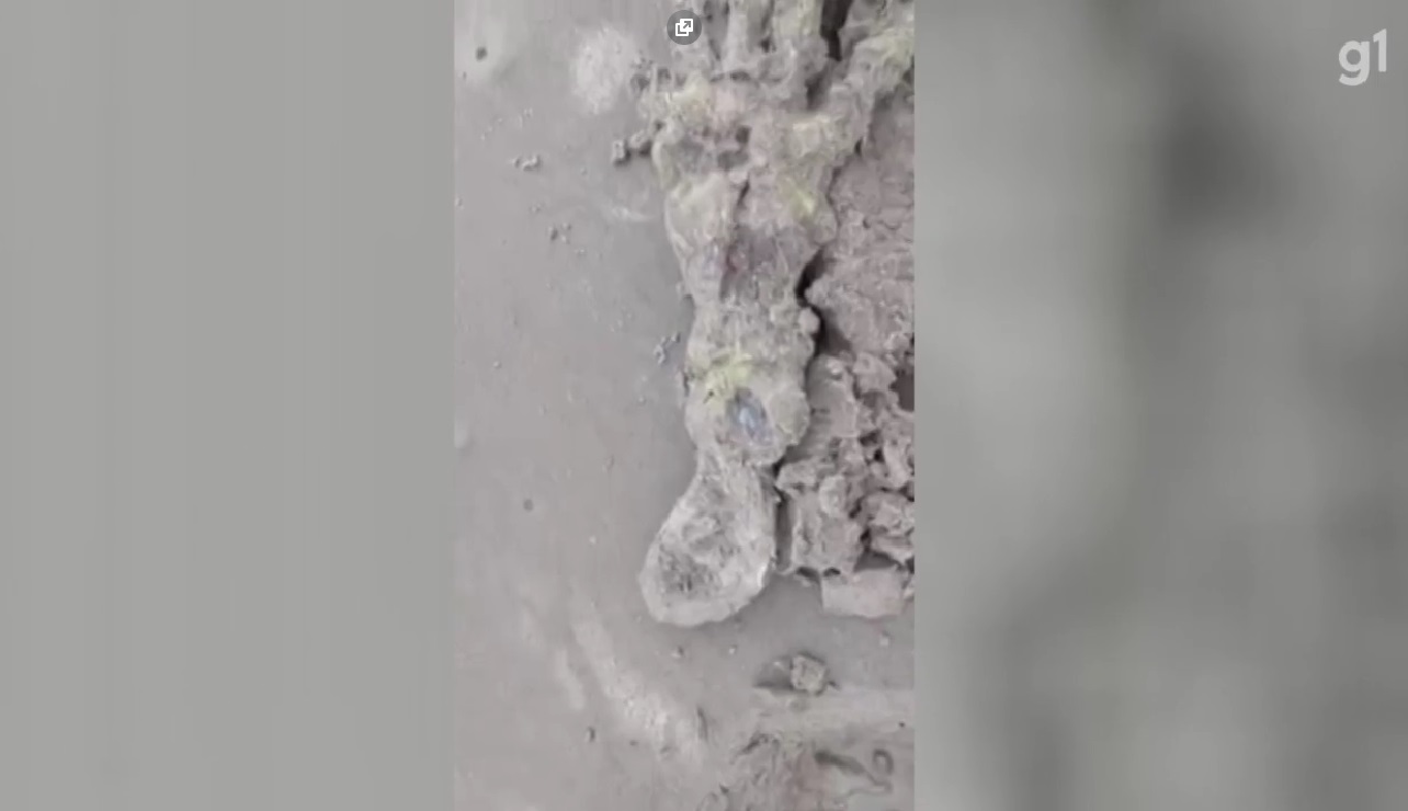 VÍDEO: Esqueleto de 'mão gigante' é encontrado em praia no litoral de SP