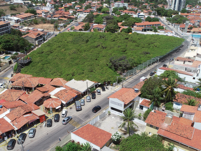 Cajueiro de Pirangi completa 134 anos com programação especial