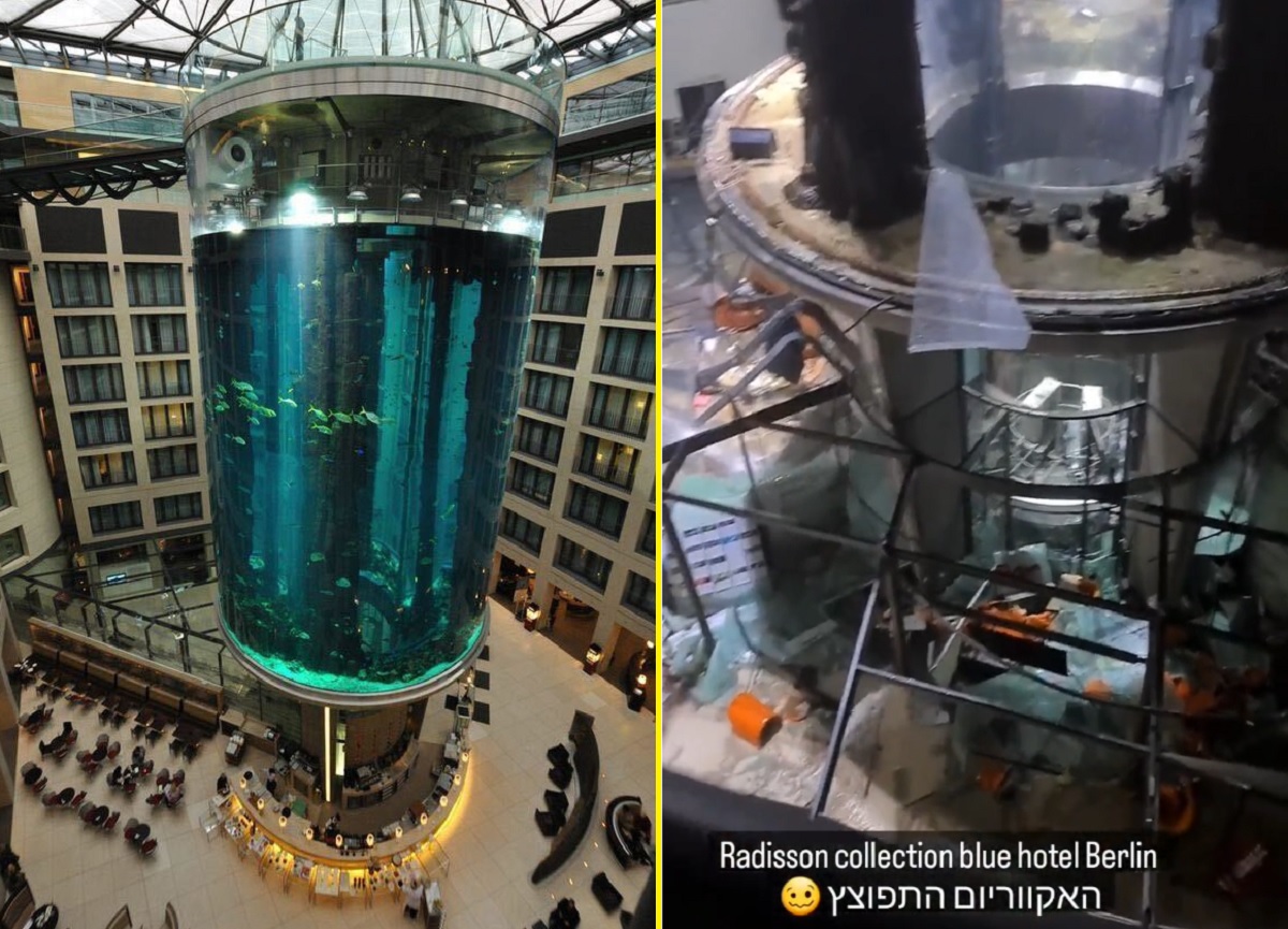 VÍDEO: Com 1.500 peixes, aquário gigante explode