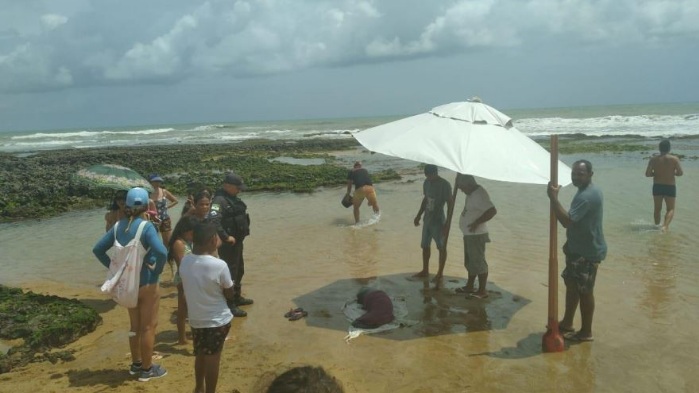 Peixe-boi-marinho encalha em praia do RN