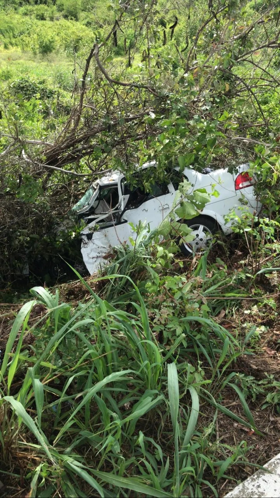 Jovem de 19 anos morre em acidente na BR-405 no Oeste do RN