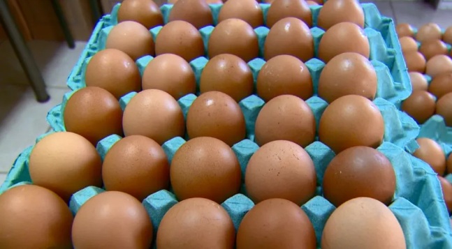 Preço do ovo de galinha sobe quase 19% nos últimos 12 meses