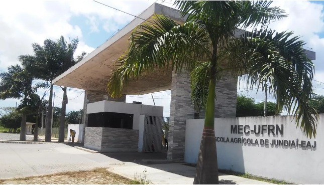 UFRN cria curso técnico em Veterinária; veja edital para primeira turma