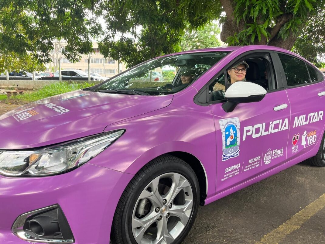 FOTO: Nova viatura da PM do Piauí viraliza nas redes sociais; confira