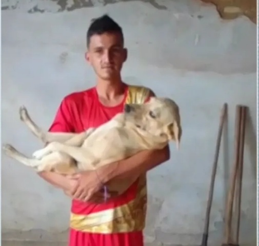 Potiguar reencontra cachorro desaparecido há quatro meses durante bloco de carnaval em cidade vizinha