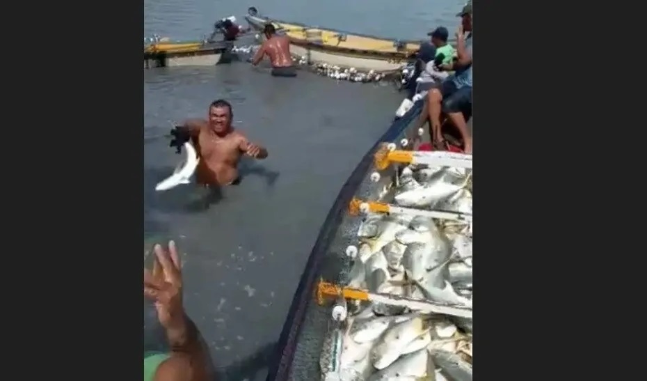 VÍDEO: Pescadores comemoram pesca de quatro toneladas de peixes em Macau