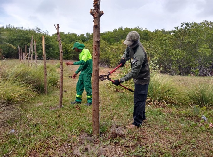 Fiscalização da Semurb remove cercas em área da União na Redinha