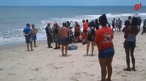 Jovem é atacado por tubarão em praia do Nordeste