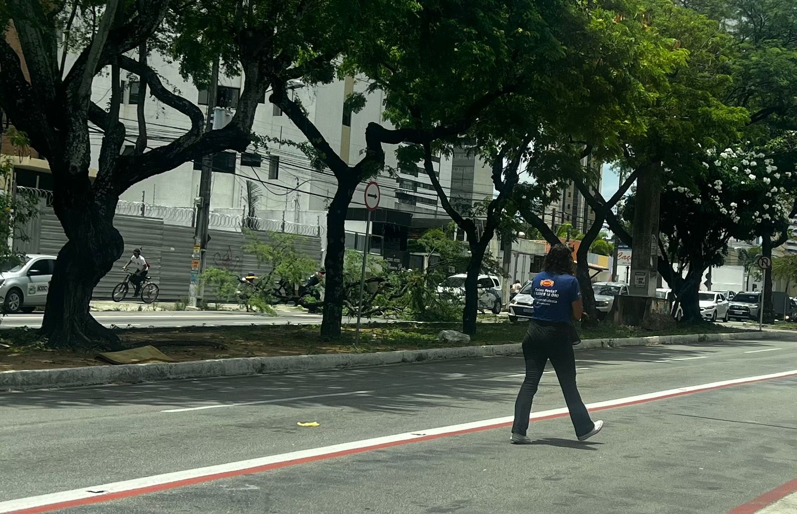 VÍDEO: Árvore cai e interrompe trânsito em avenida movimentada de Natal