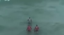 VÍDEO: Bombeiros tiram, à força, homem que tomava banho no mar logo após ataque de tubarão