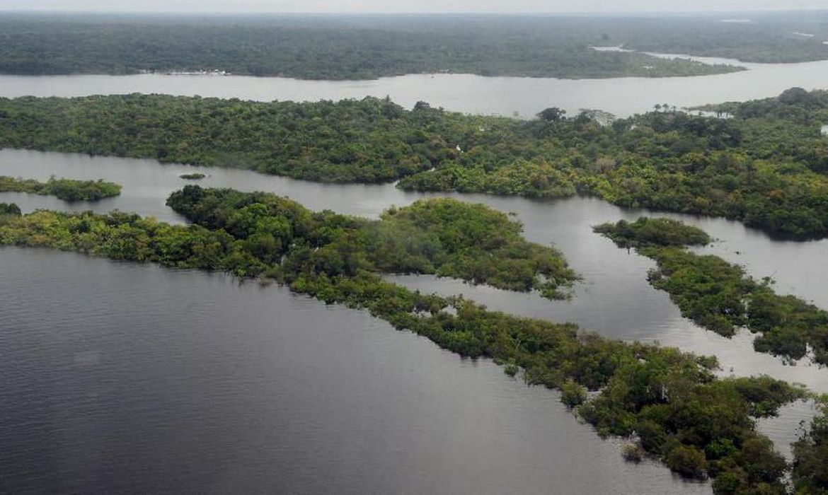 Amazônia tem pior fevereiro em nove anos; governo Lula precisa dar respostas, dizem ambientalistas