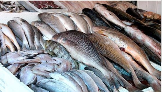 Consumidor de Natal vai pagar mais caro pelo peixe da Semana Santa