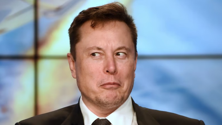 Musk troca pássaro azul do Twitter por logo de criptomoeda