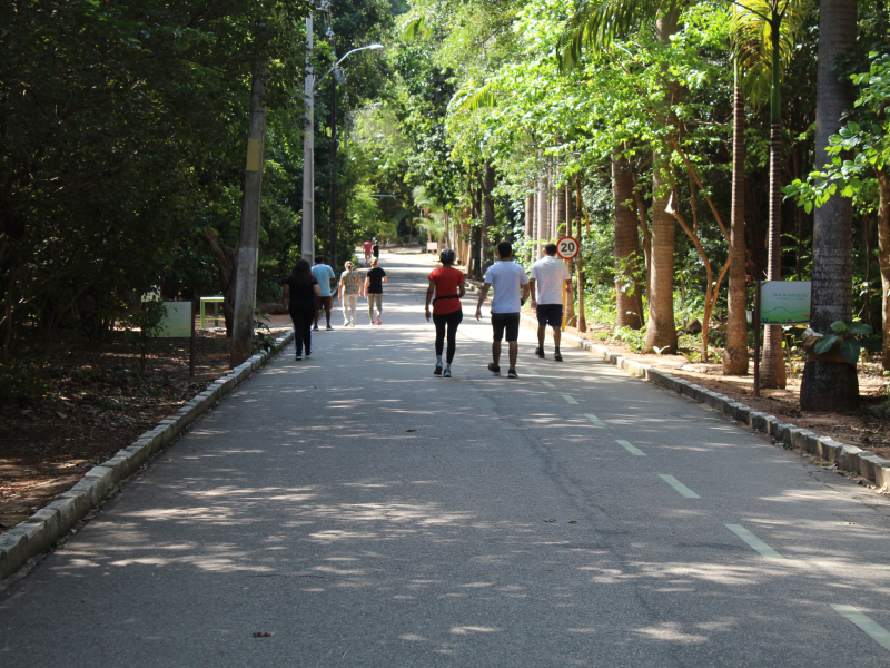 Parque das Dunas e Cajueiro de Pirangi funcionarão normalmente durante a Semana