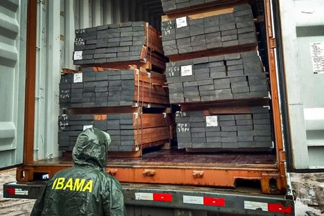 Sob governo do PT, Ibama adia restrição à exportação de madeira nativa