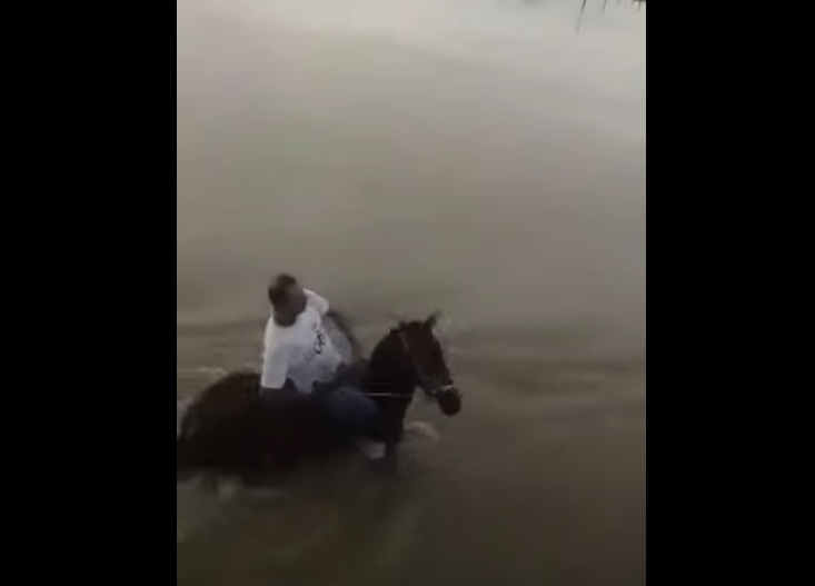 VÍDEO: Homem tenta atravessar açude a cavalo e correnteza arrasta animal