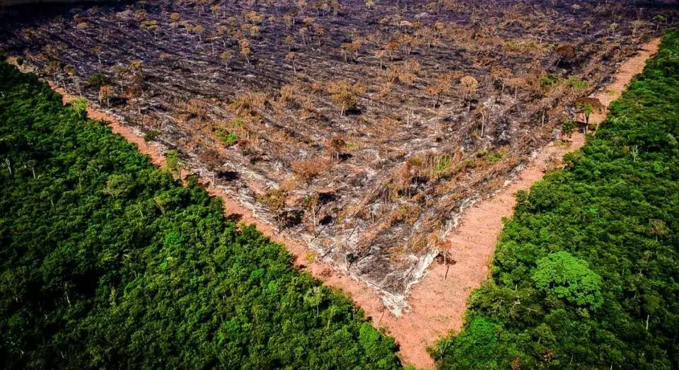 Desmatamento da Amazônia aumenta 14% em março