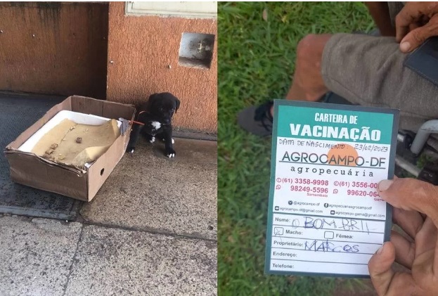 Mendigo troca cachorro por sexo com prostituta