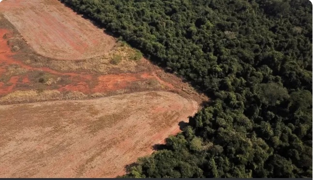 Biden vai anunciar R$ 2,5 bi para o Fundo da Amazônia